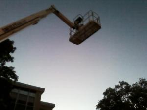 Above. Photo by Katelyn Avery.