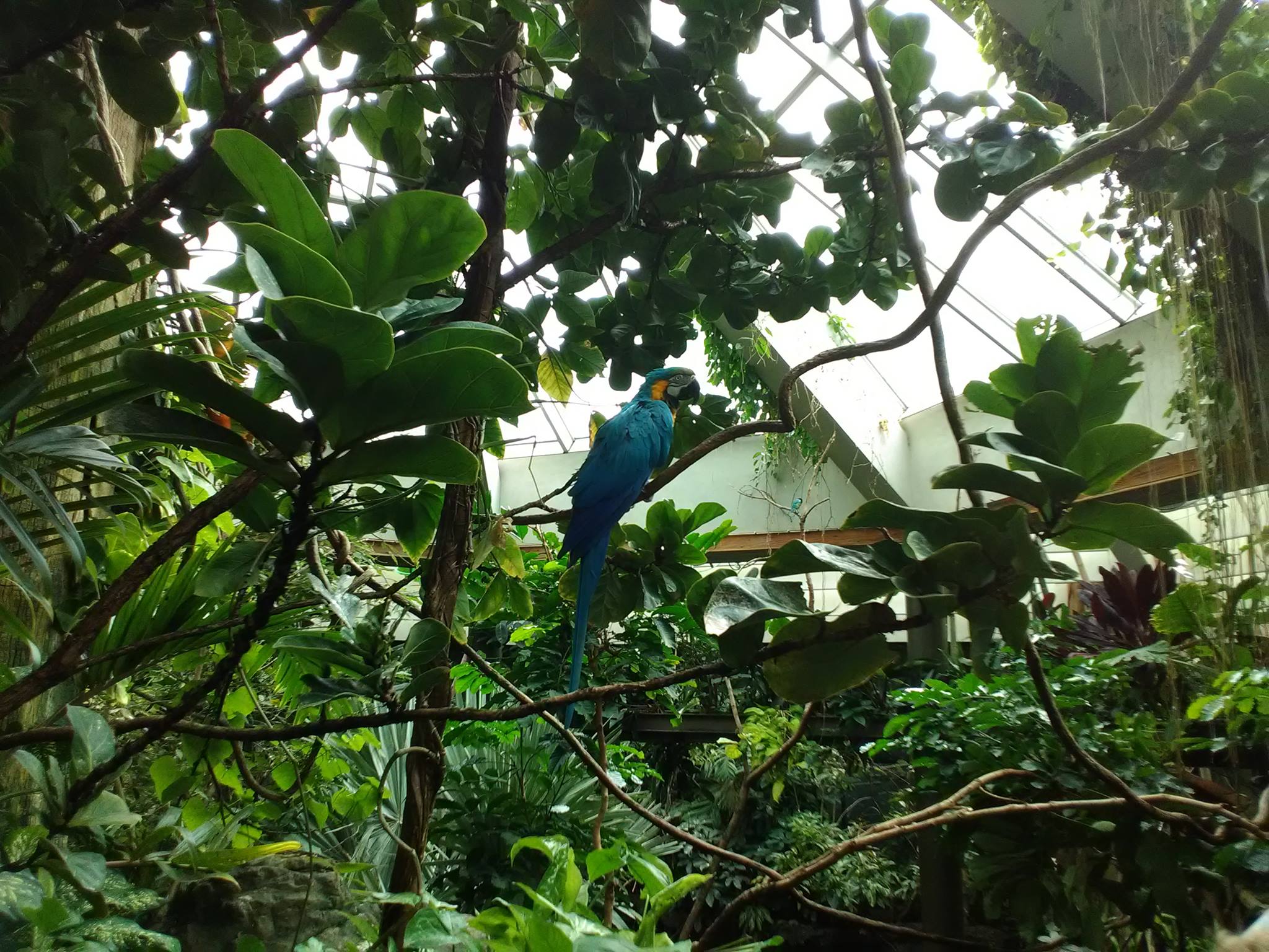 44384129_1974121676010909_2794992097206206464_o