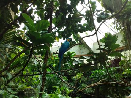 44384129_1974121676010909_2794992097206206464_o